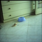 Cosa gli appartiene?