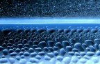 Oceano domestico..... Oceano domestico.....
