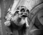 Gargoyle Gargoyle