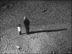 la lunghezza della vita la lunghezza della vita