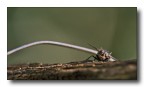 tra legno e metallo tra legno e metallo