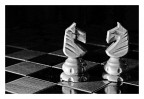 Screzzi all'interno della stessa fazione Screzzi all'interno della stessa fazione