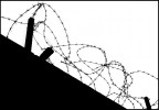No Freedom No Freedom