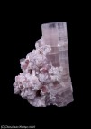 Elbaite var. Rubellite