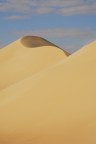 Dune#1 Dune#1
