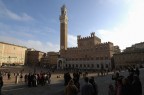 Siena piazza del campo Siena piazza del campo