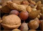 Nocciole & co. Nocciole & co.