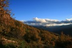 Sembra autunno... Sembra autunno...