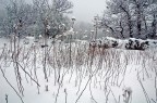 Neve sull'Etna Neve sull'Etna