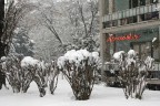 Milano-Neve Milano-Neve