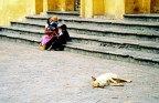 Mexico: perro en siesta Mexico: perro en siesta