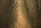Atmosfera fiabesca Atmosfera fiabesca