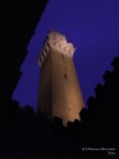 La Torre dall'entrone La Torre dall'entrone