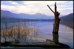 Avigliana, il lago piccolo #2. Avigliana, il lago piccolo #2.
