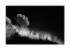 Night vision af the Elisian Fields Night vision af the Elisian Fields
