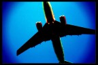 Airplane Airplane
