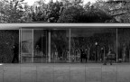 Mies.5 Mies.5
