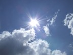 Sole Sole