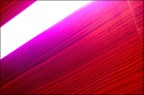 Magenta Lights Magenta Lights