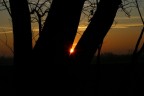 TRAMONTO TRAMONTO