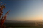 winter fog (sottotitolo - maledeta pianura padana) winter fog (sottotitolo - maledeta pianura padana)