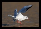 Take off Take off