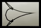 Riflesso 2 Riflesso 2