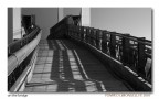 on the bridge