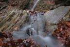 Torrentello di montagna Torrentello di montagna