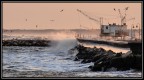 Mare mosso Mare mosso