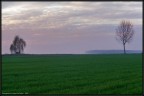 La campagna di Carmagnola #2. La campagna di Carmagnola #2.