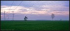 La campagna di Carmagnola #3. La campagna di Carmagnola #3.