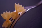 a caccia di ... farfalle a caccia di ... farfalle
