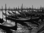venezia II venezia II