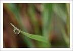 Acqua e Fuoco