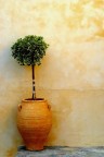 Vaso di Fiori Grecia Vaso di Fiori Grecia