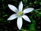 bianco bianco
