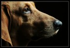 Il mio amico Umba! Il mio amico Umba!