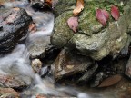 Autunno_1681 Autunno_1681