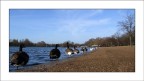 Hyde Park - London