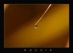 "Goccia" "Goccia"