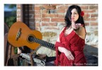 serie "flamenco" 2 serie "flamenco" 2
