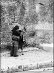 ...il mio migliore amico.... ...il mio migliore amico....