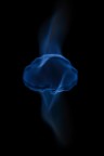 Progetto flame - Medusa Progetto flame - Medusa