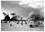 cimitero