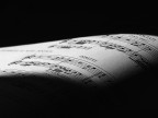 Musica Musica