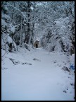 nevicata nevicata
