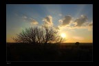 L'autunno L'autunno