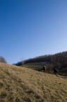 la strada la strada