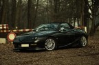La mia Batmobile nel parco di Monza La mia Batmobile nel parco di Monza